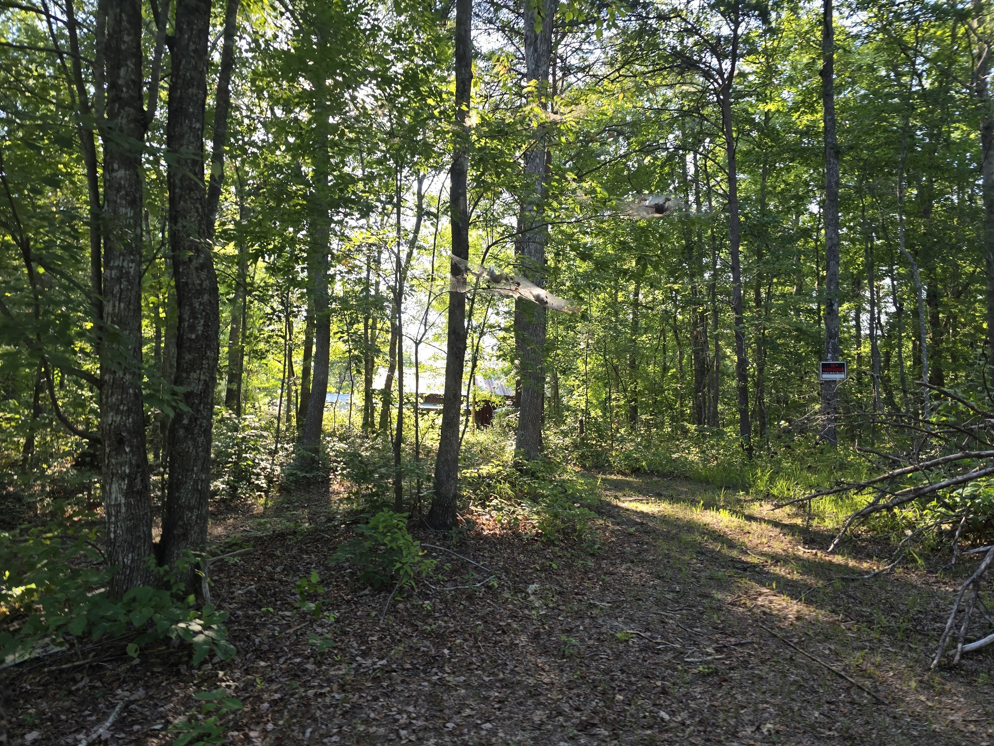 2185 Northcutts Cove Road Beersheba Springs, TN 37305 - Photo 15 of 24 a view of outdoor space and green space