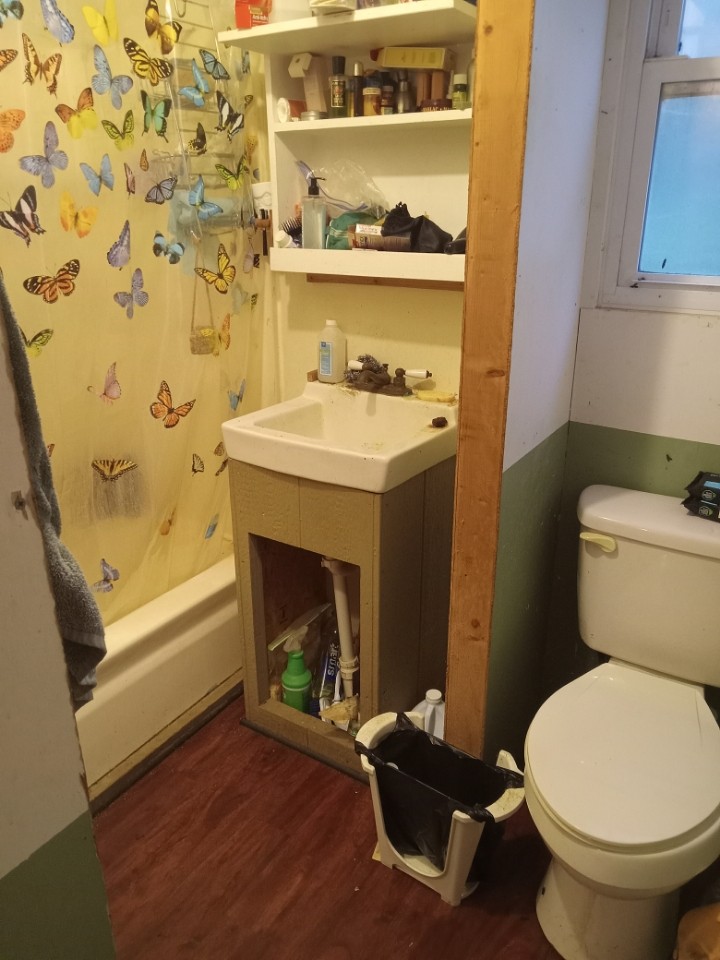 2185 Northcutts Cove Road Beersheba Springs, TN 37305 - Photo 23 of 24 a bathroom with a toilet and a shower curtain