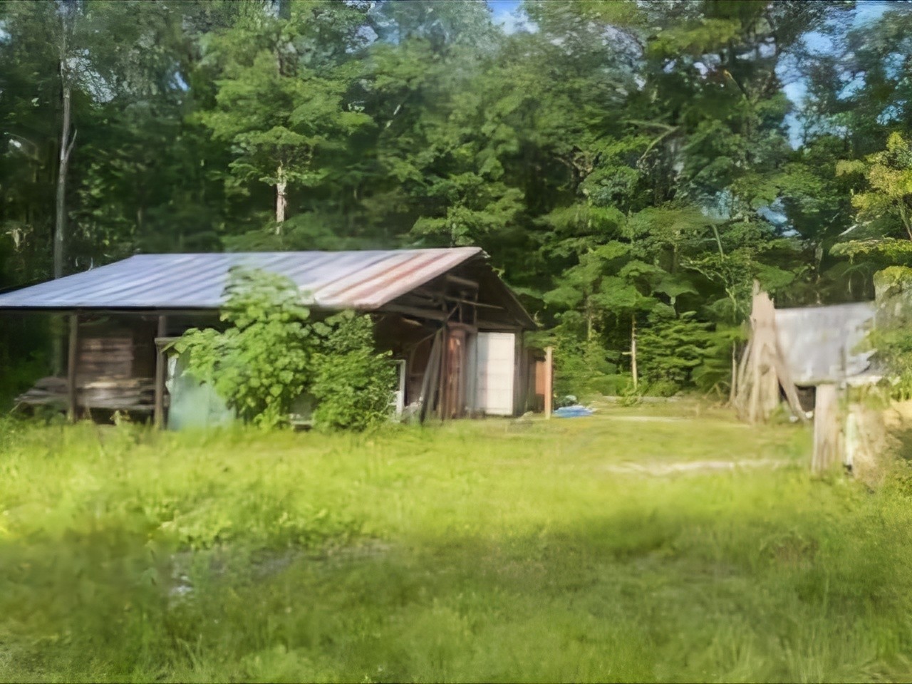 2185 Northcutts Cove Road Beersheba Springs, TN 37305 - Photo 5 of 24 a backyard of a house with table and chairs under an umbrella
