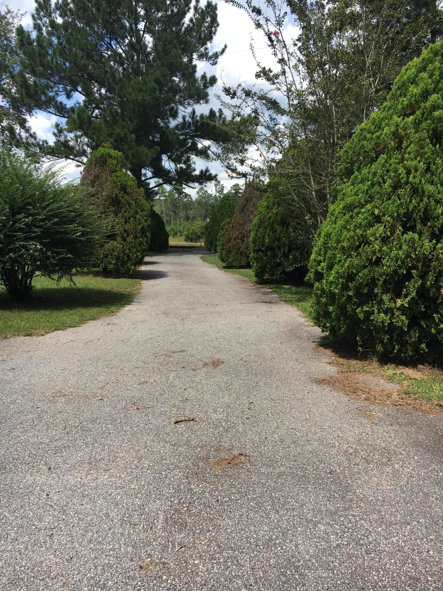 4849 Ruffin Road Ruffin, SC 29475 - Photo 22 of 22 exit view