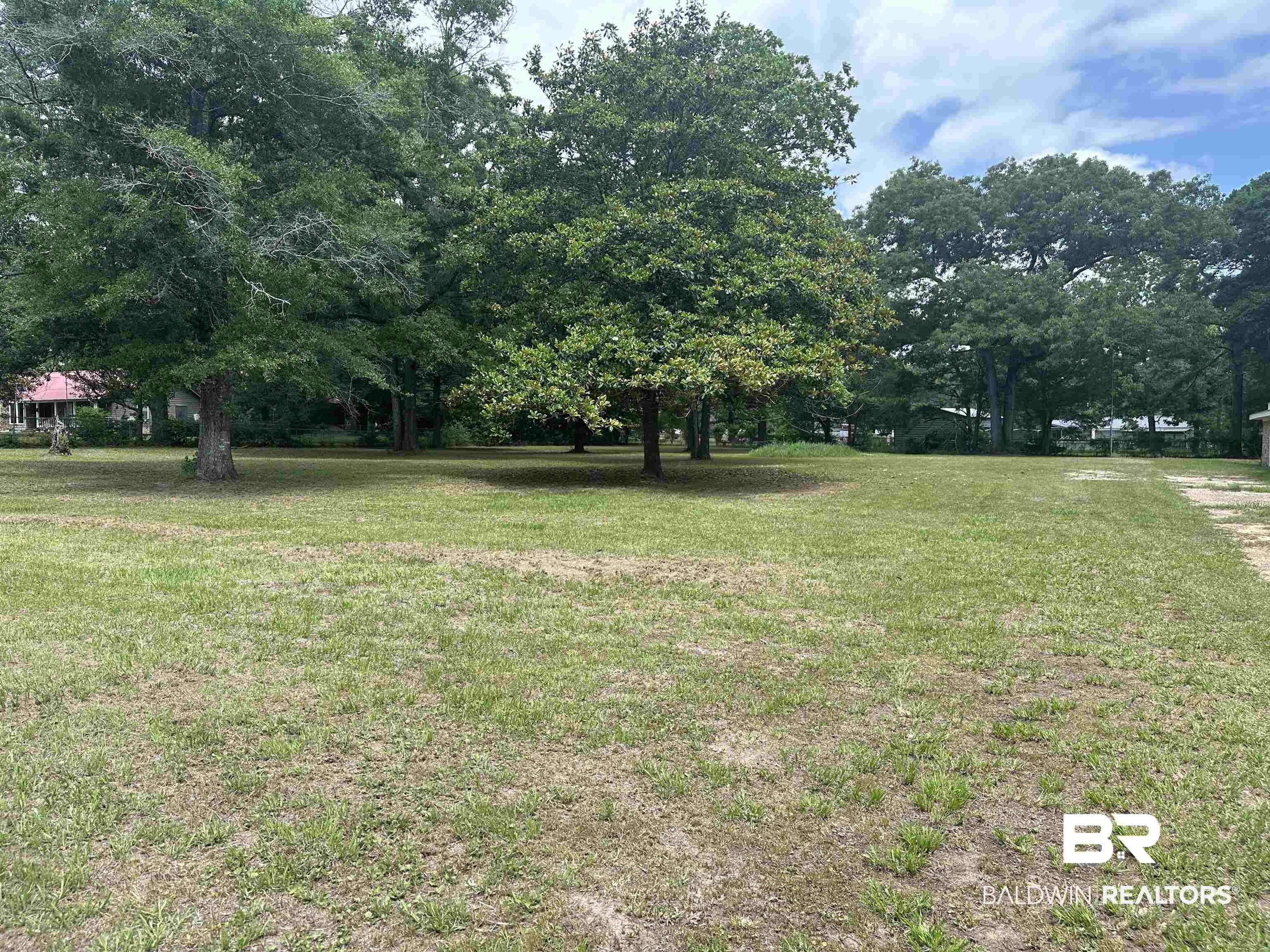 8780 Mace Road Eight Mile, AL 36613 - Photo 2 of 17