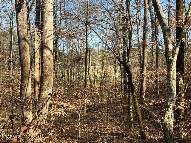41 Athens Road Delano, TN 37325 - Photo 10 of 34