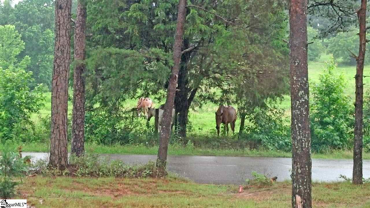 8 Smith Tractor Road Travelers Rest, SC 29690 - Photo 2 of 17