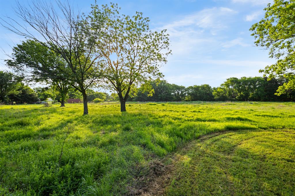 201 Proctor Lane Sunset, TX 76270 - Photo 17 of 18 a view of an trees with a yard