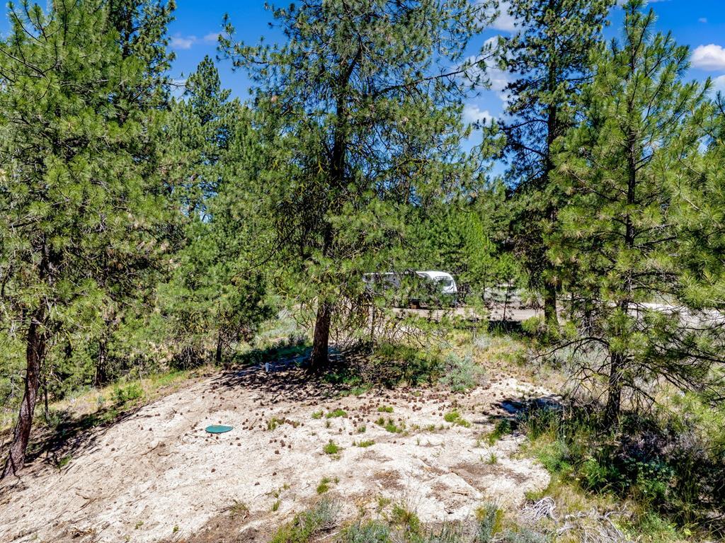 1497 Pine Ridge Drive, Unit 5 Cascade, ID 83611 - Photo 2 of 33