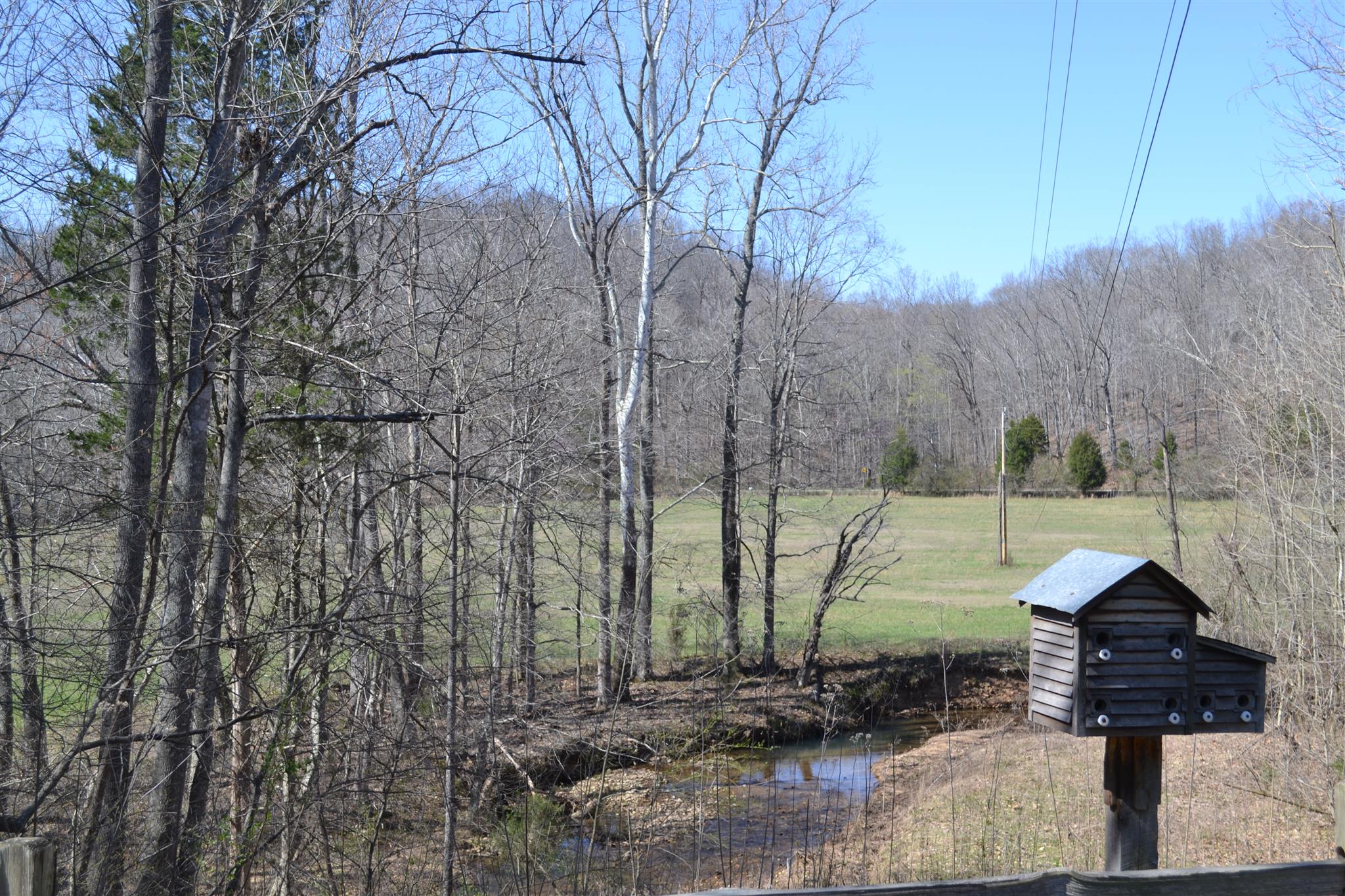 120 Spring Creek Road Waverly, TN 37185 - Photo 16 of 18 Gallery Image 16