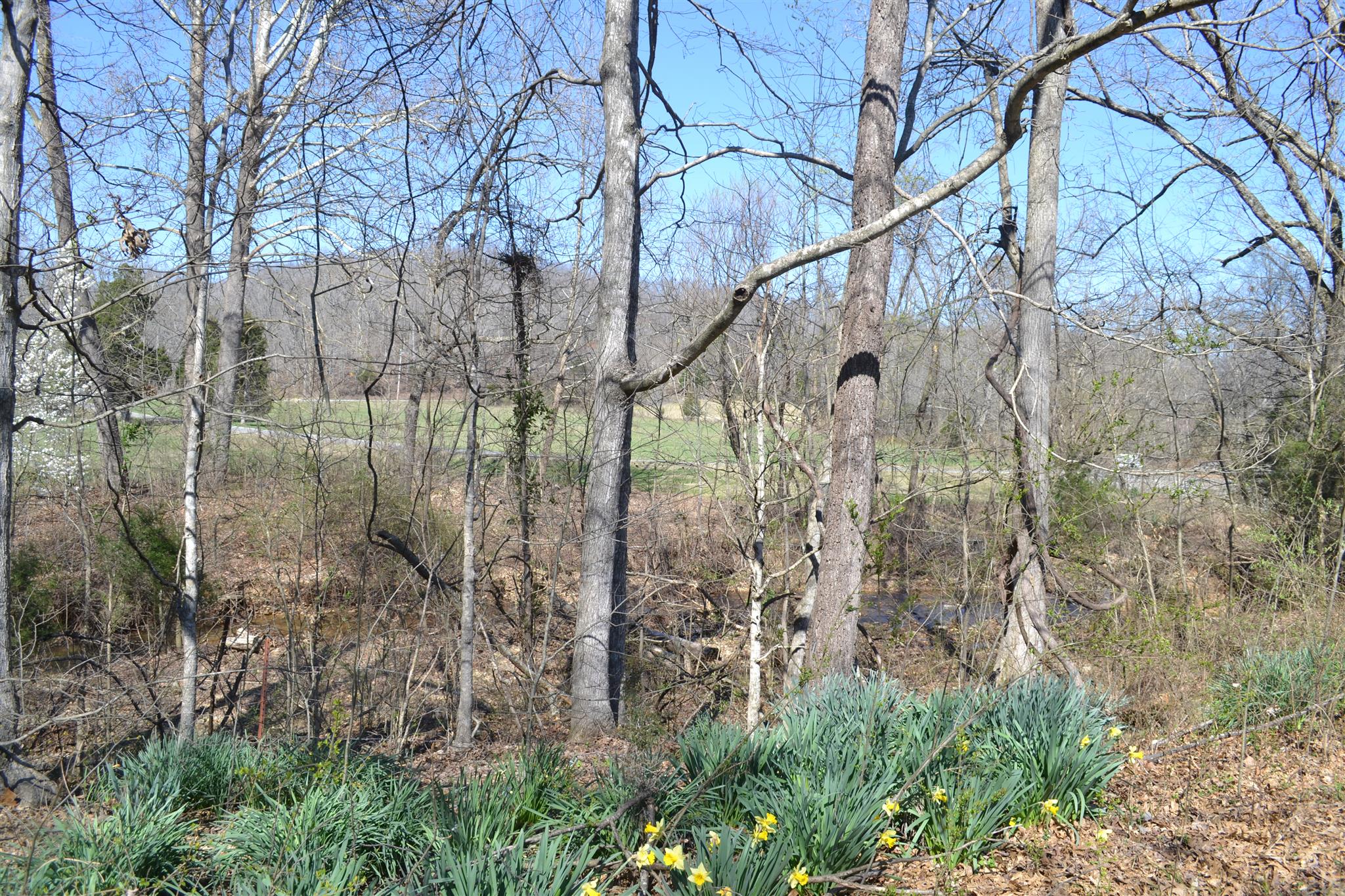 120 Spring Creek Road Waverly, TN 37185 - Photo 17 of 18 Gallery Image 17