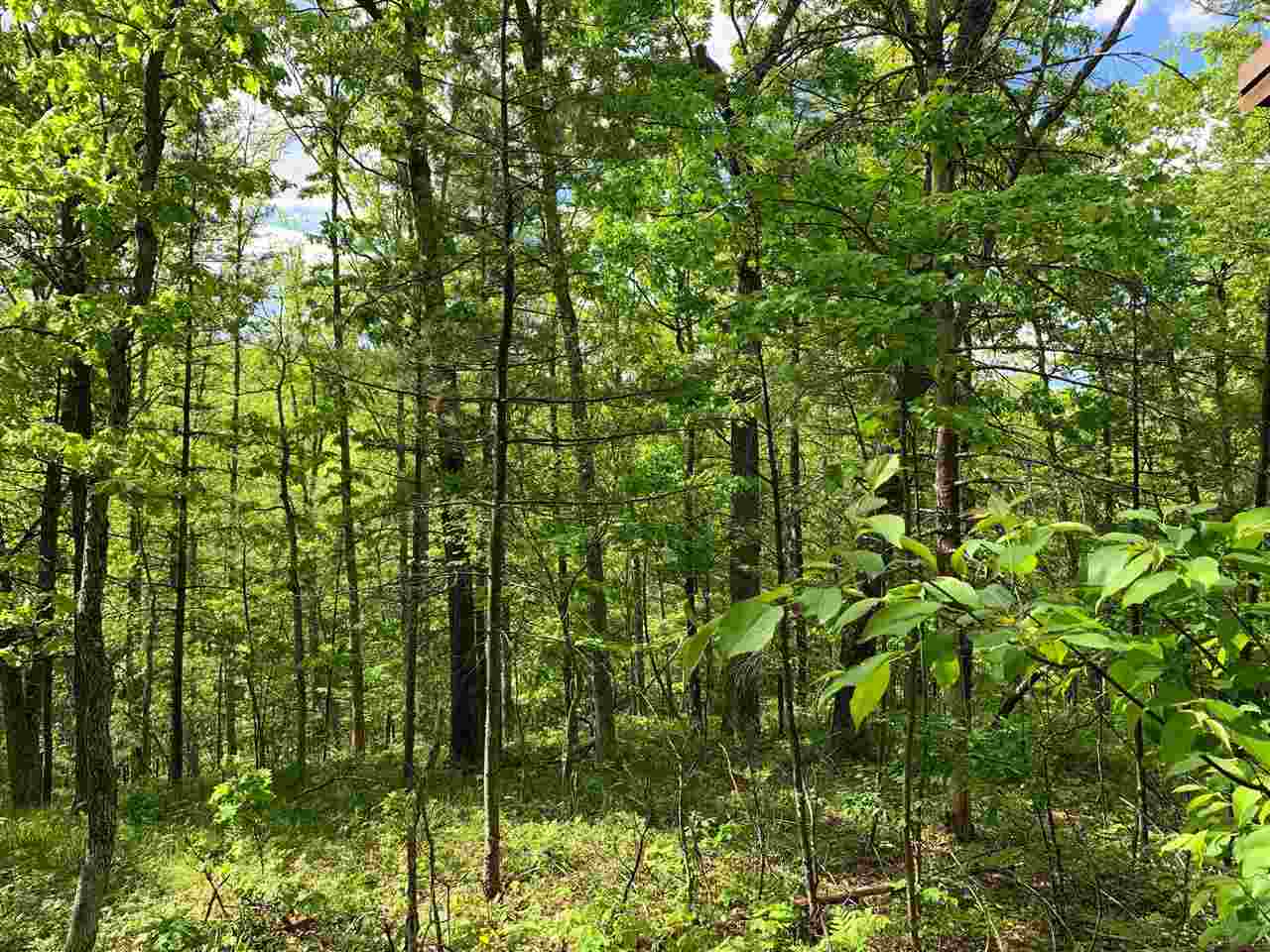 10728 South Willows Road Roscommon, MI 48653 - Photo 60 of 64 1889461-62.JPG