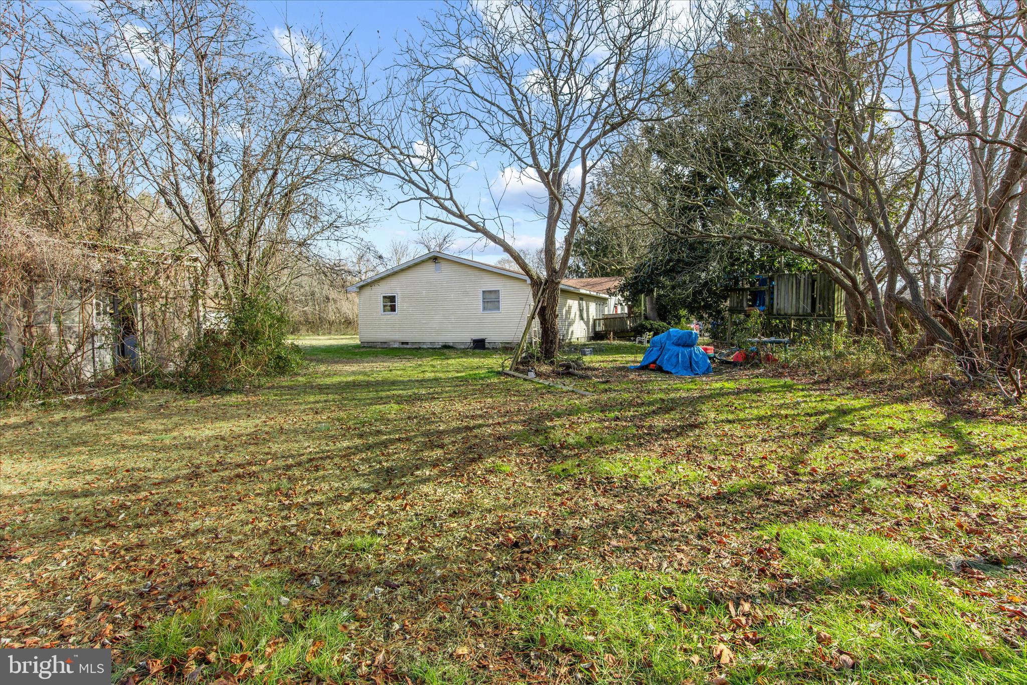 28359 Martins Farm Road Milton, DE 19968 - Photo 38 of 63 a view of a yard with a house and a tree