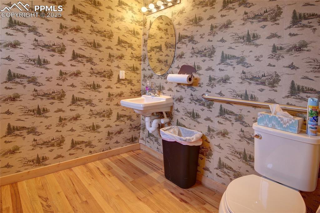 65 Sunshine Loop Fairplay, CO 80440 - Photo 40 of 50 CH Main Level Bathroom