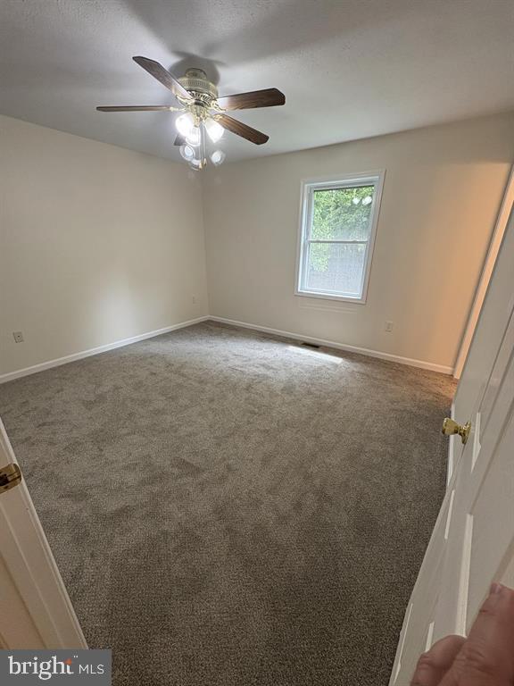 296 Bryce Boulevard Mount Jackson, VA 22842 - Photo 7 of 20 en empty room with windows and chandelier fan