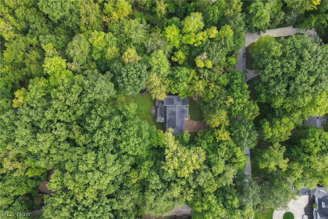3812 Ellendale Road Moreland Hills, OH 44022 - Photo 43 of 46