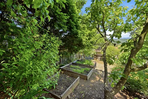 a front view of a house with a garden
