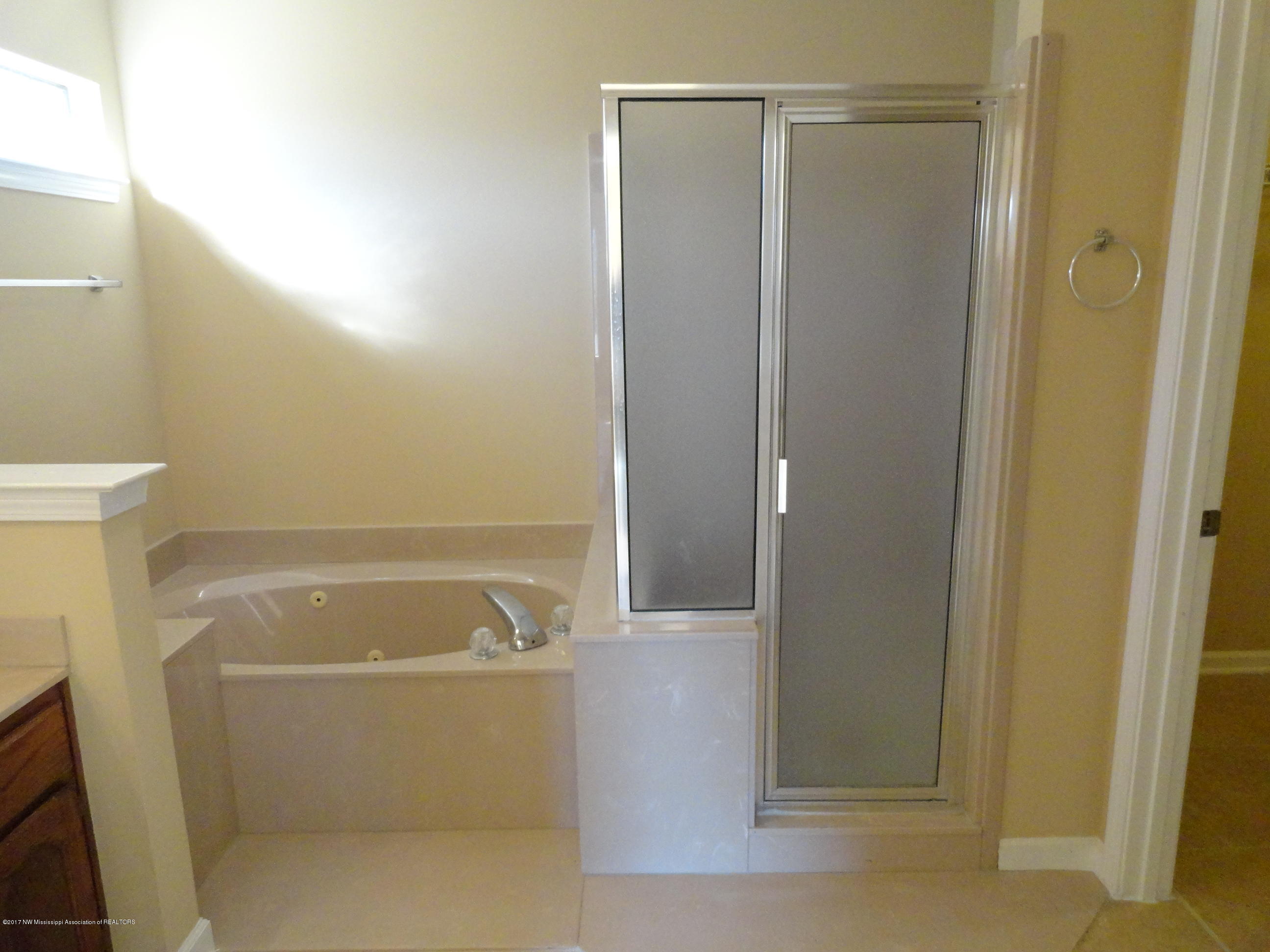 2165 Heather Ridge Southaven, MS 38672 - Photo 14 of 20 DSC09816m