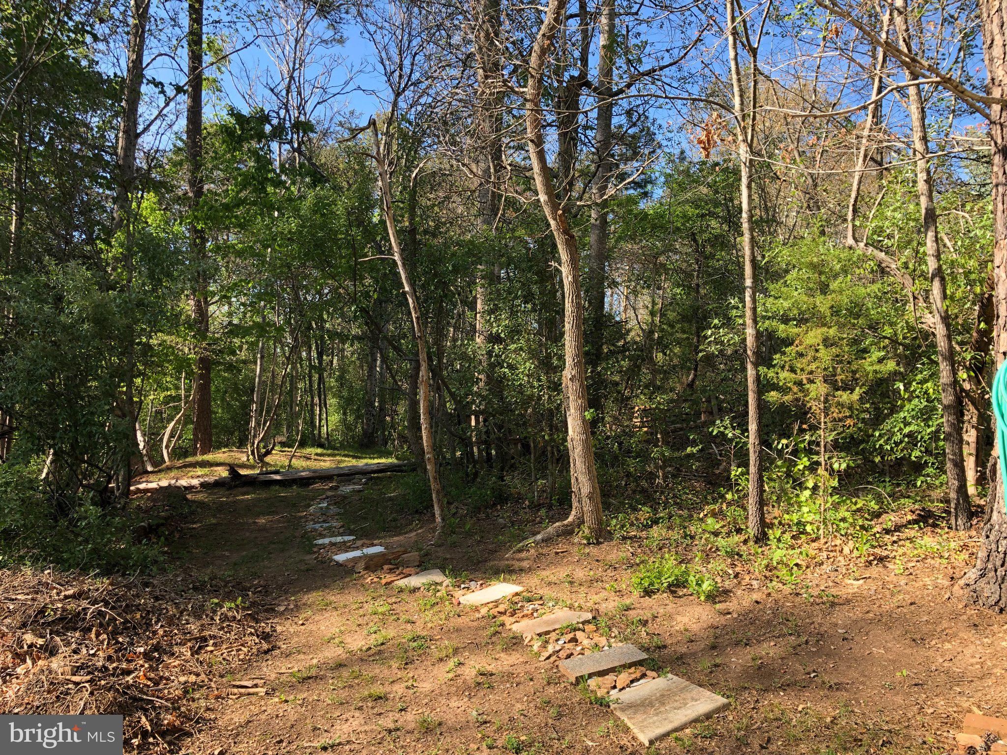 2203 Campbell Road Gordonsville, VA 22942 - Photo 45 of 53 a backyard of a house with lots of green space