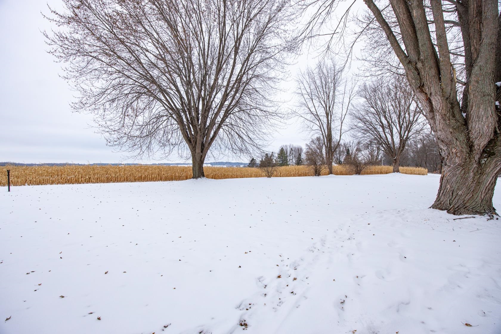 N5438 Lower Road Shiocton, WI 54170 - Photo 33 of 56