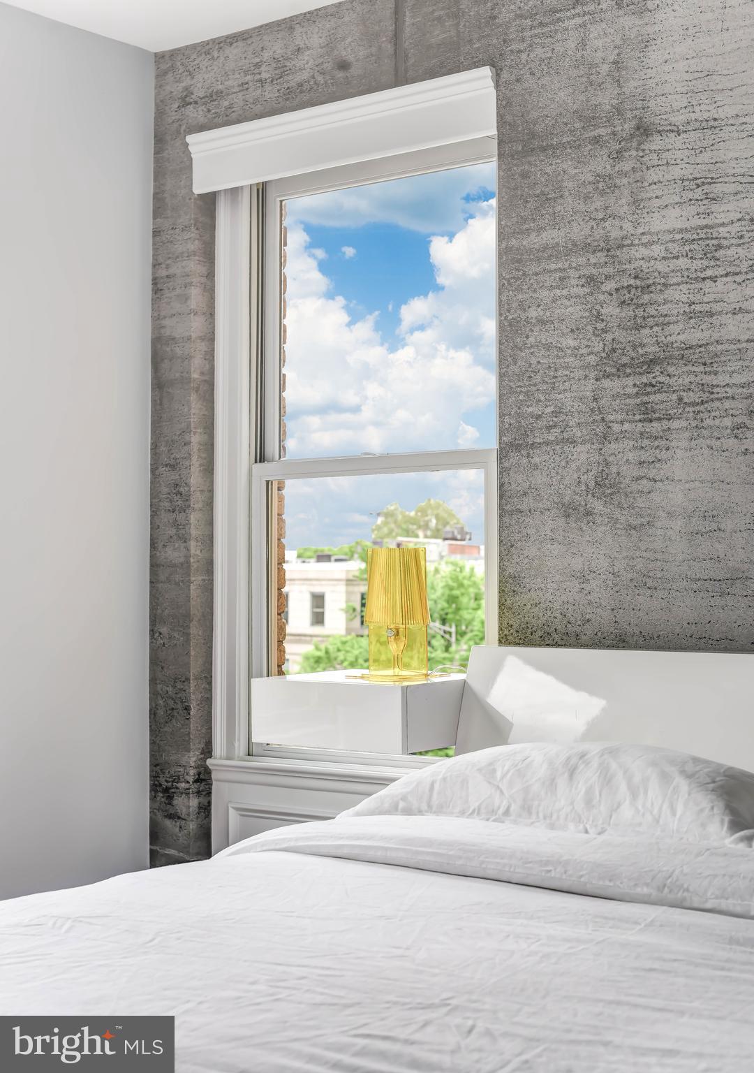 2008 16th Street Northwest, Unit 300 Washington, DC 20009 - Photo 30 of 43 Detail: ConcreteWall covering imported from Norway