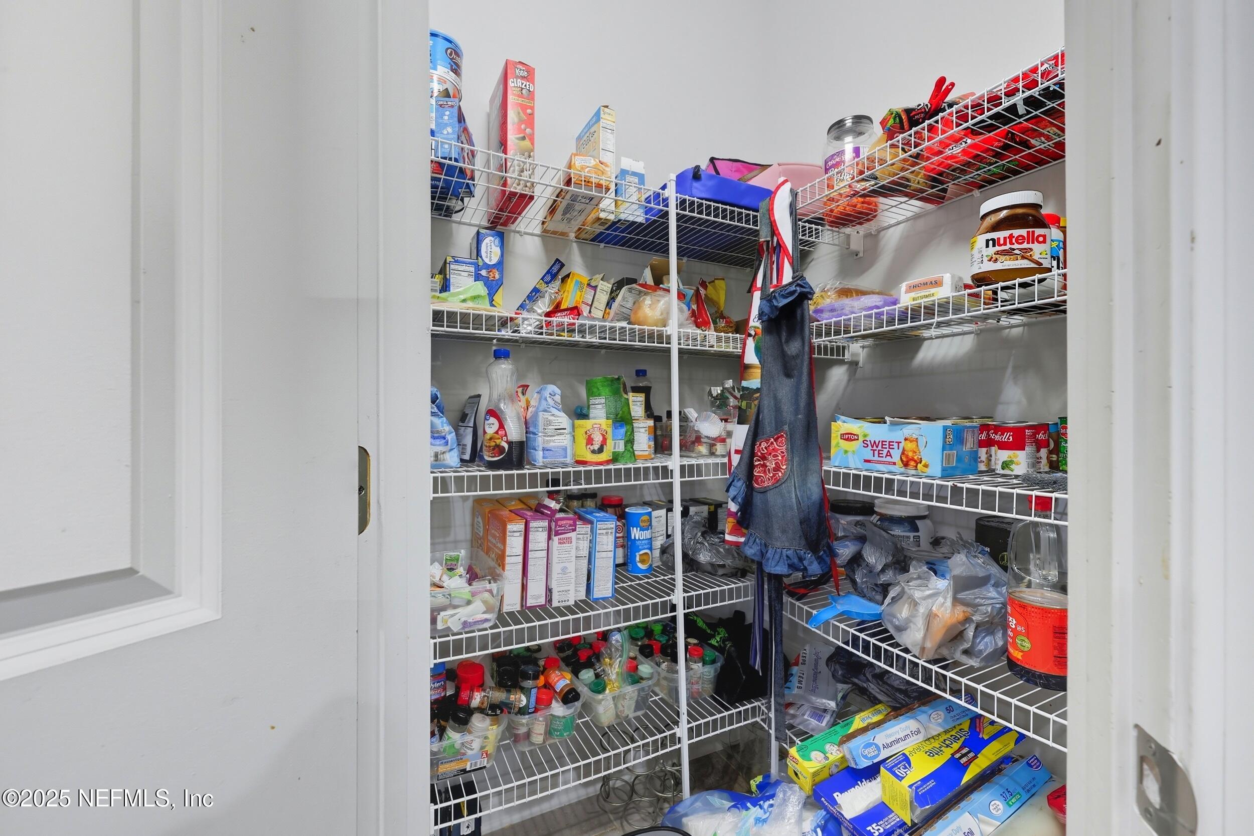 1218 Wetland Ridge Circle Middleburg, FL 32068 - Photo 25 of 75 Pantry