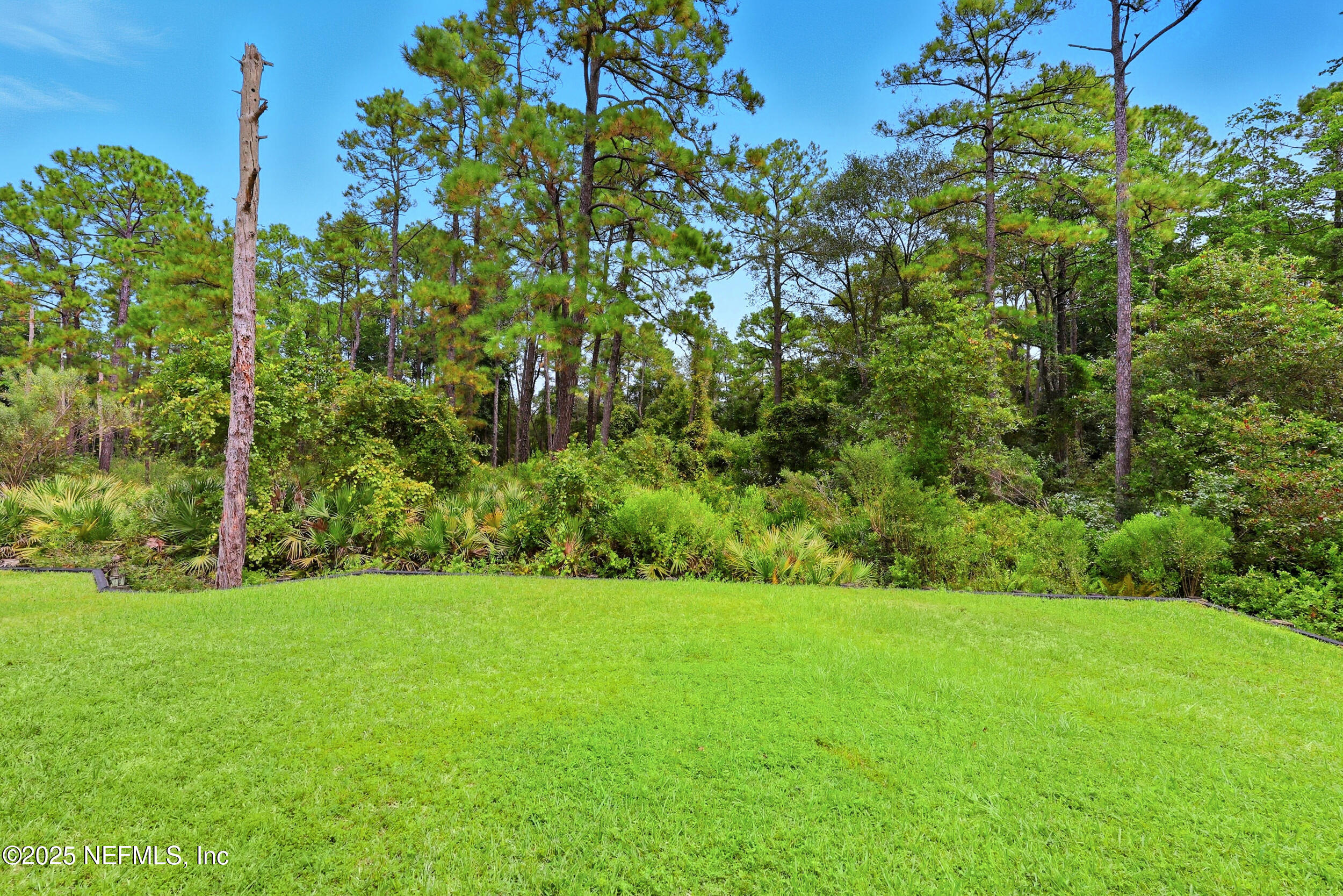 1218 Wetland Ridge Circle Middleburg, FL 32068 - Photo 55 of 75 Preserve View - No rear neighbors!