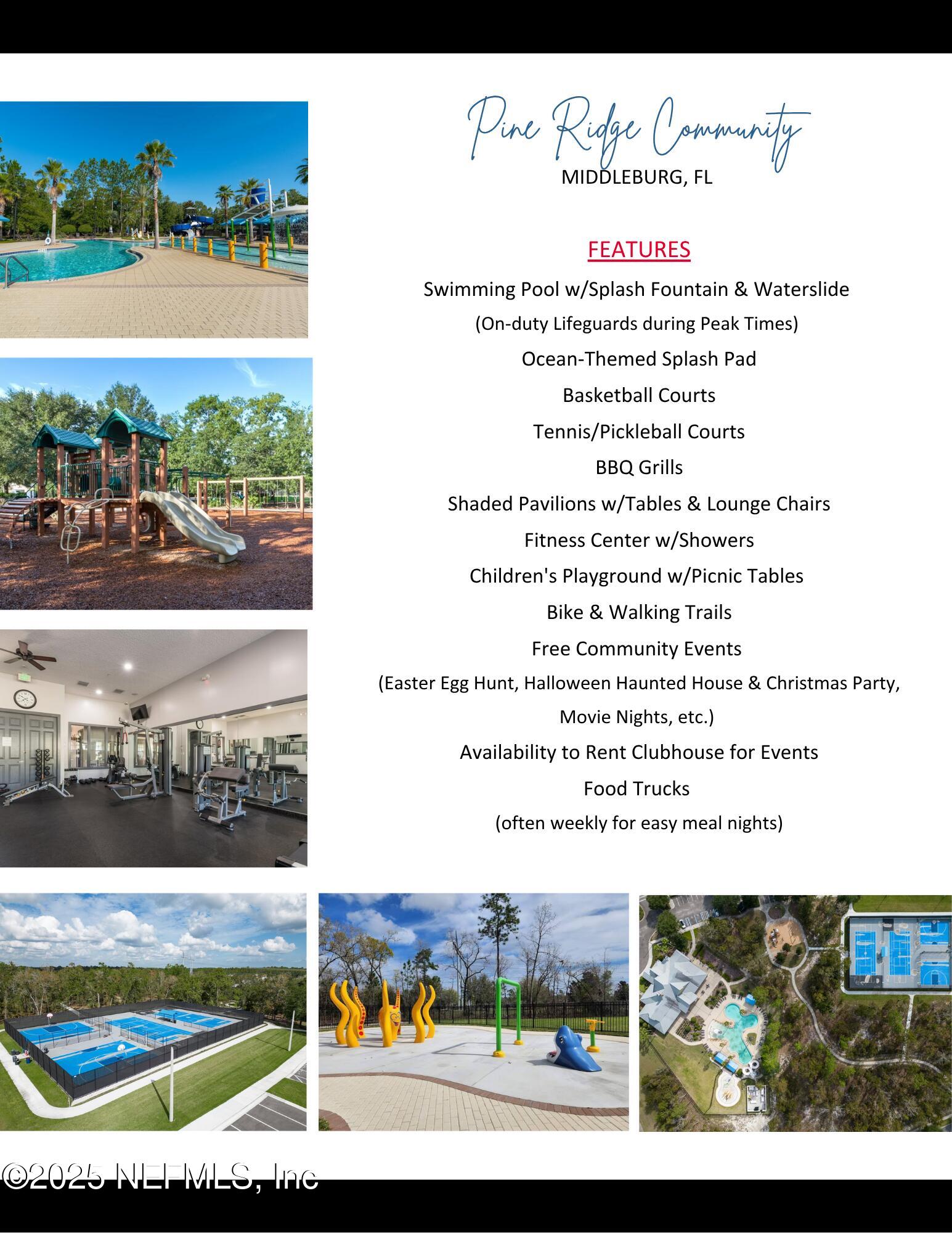 1218 Wetland Ridge Circle Middleburg, FL 32068 - Photo 74 of 75 Pine Ridge Flyer