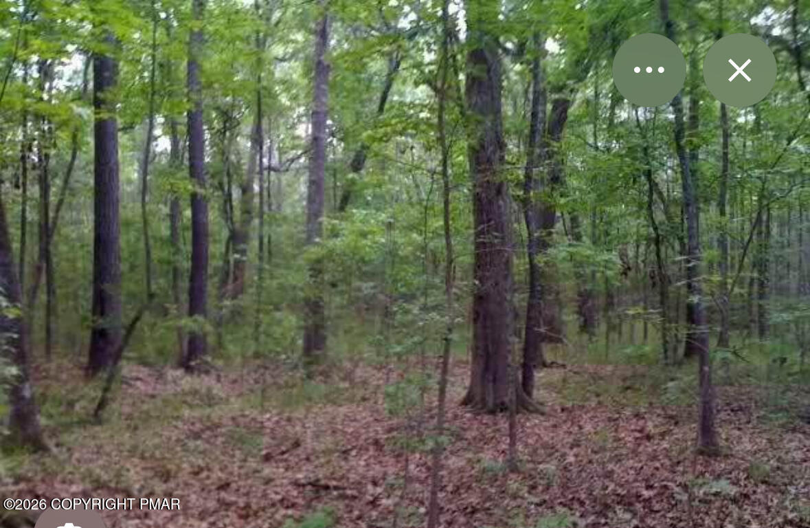 Fawn Road Hawley, PA 18428 - Photo 1 of 1 land