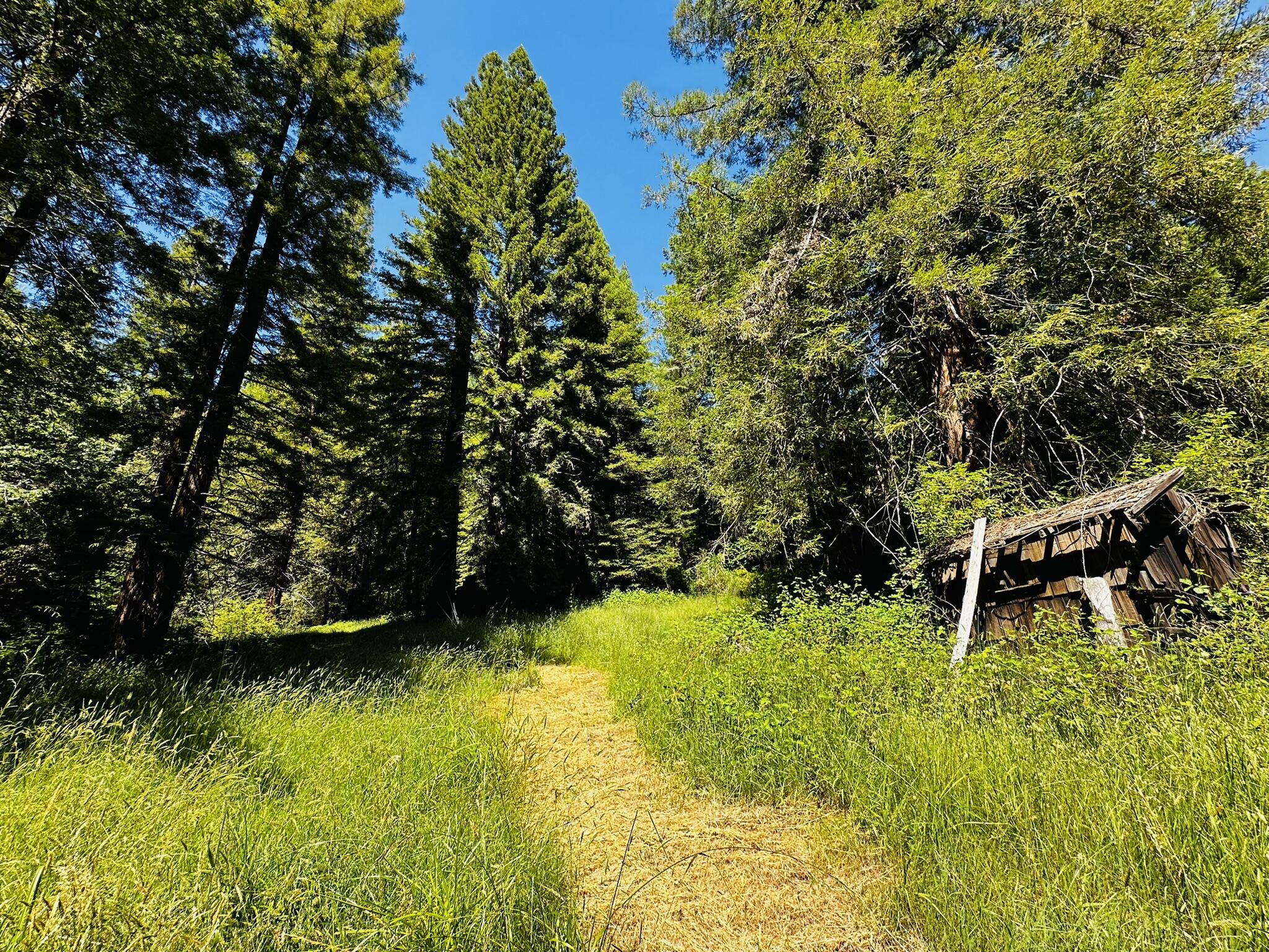 2675 Briceland Road Redway, CA 95560 - Photo 104 of 113 IMG_1326