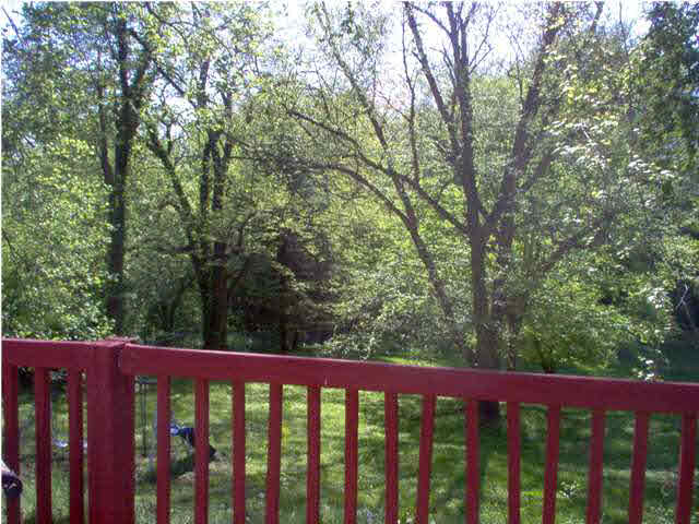 7809 Yankeetown Road Newburgh, IN 47630 - Photo 9 of 17 Gallery Image 9