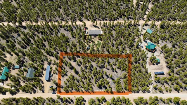 a view of a yard with large trees