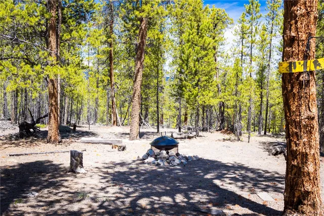 a view of a park with large trees