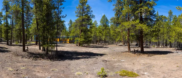 a view of a tree in the middle of a yard