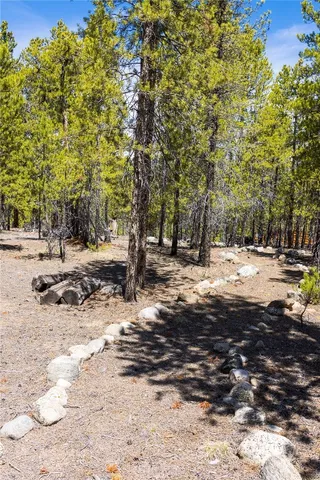 a view of a street with a tree