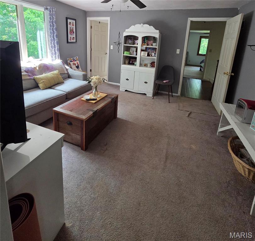 4290 Horse Creek Road Red Bud, IL 62278 - Photo 20 of 41