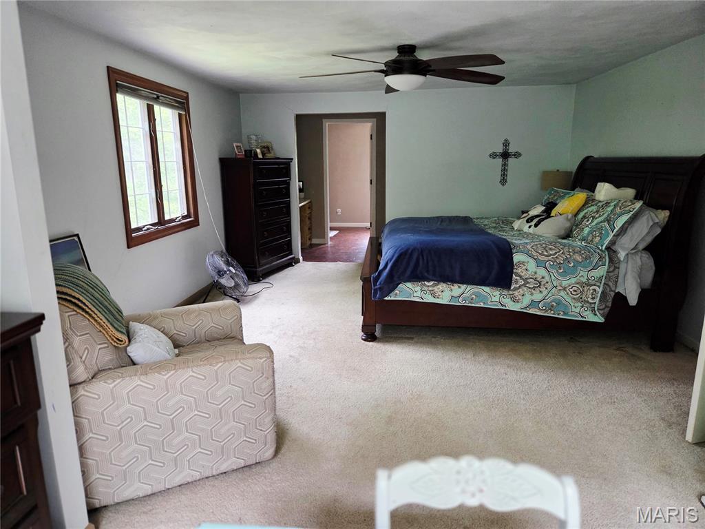 4290 Horse Creek Road Red Bud, IL 62278 - Photo 26 of 41