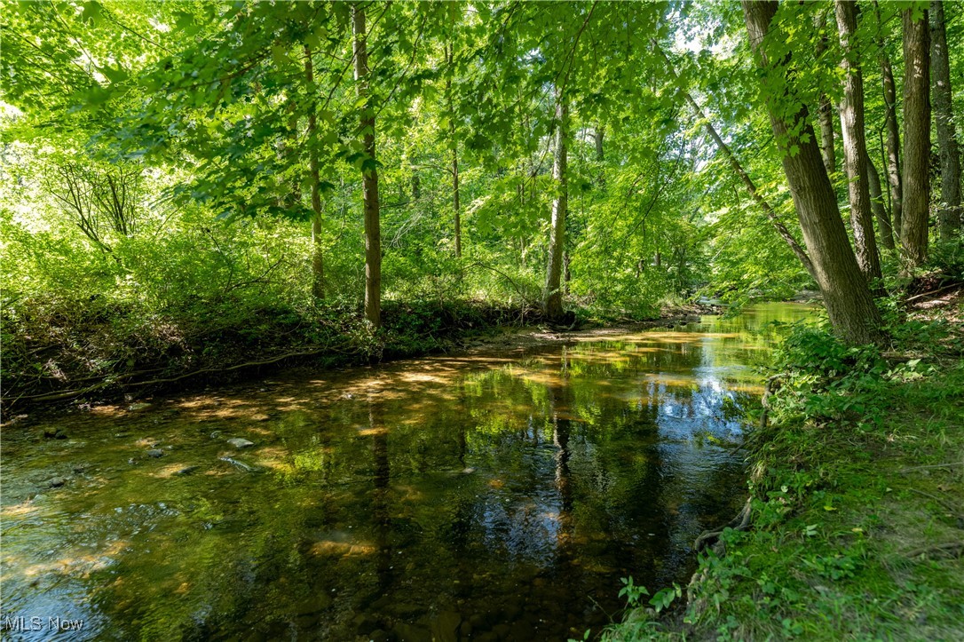 8062 Chagrin Road Chagrin Falls, OH 44023 - Photo 45 of 50 A gentle, meandering creek frames the edge of your property, adding to the natural beauty of the landscape.