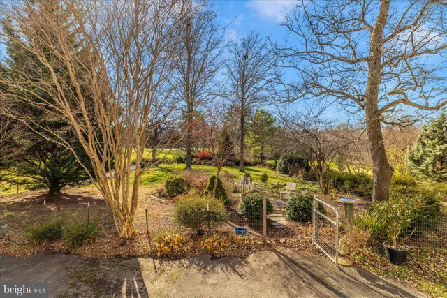 a view of city and mountain