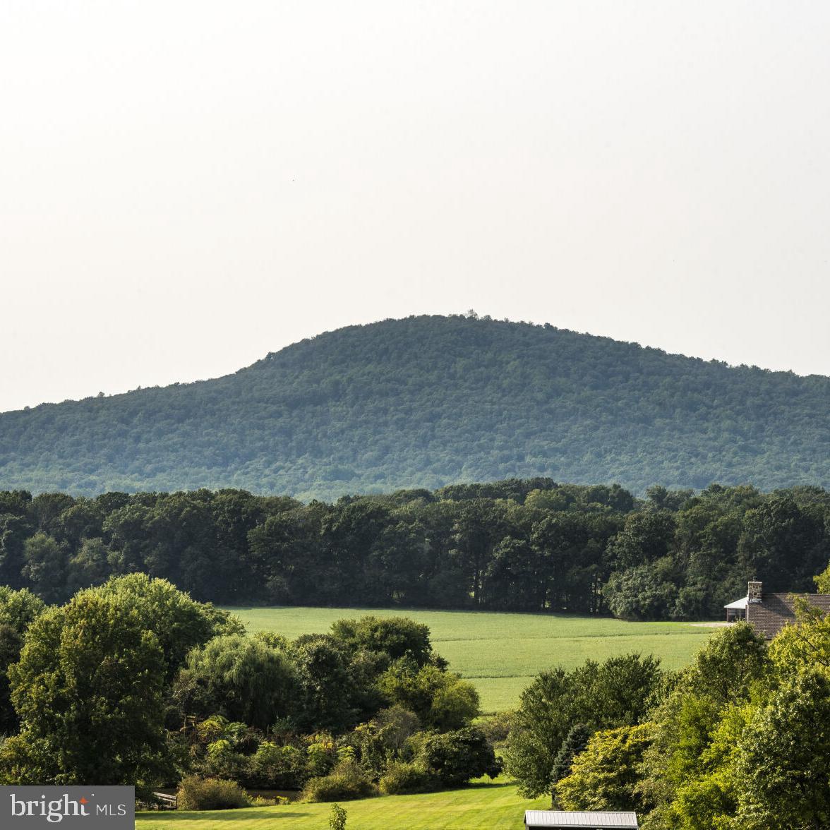 22170 Dickerson School Road Dickerson, MD 20842 - Photo 56 of 64 a view of mountain and lake view
