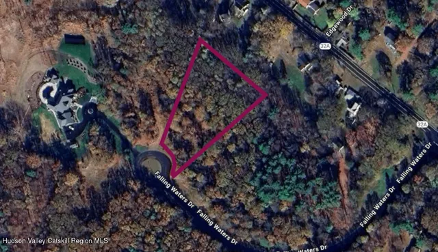 a close up of a tree