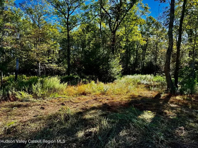 a view of a lake with a tree