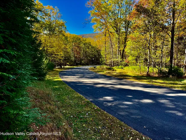 a view of a yard with swimming pool