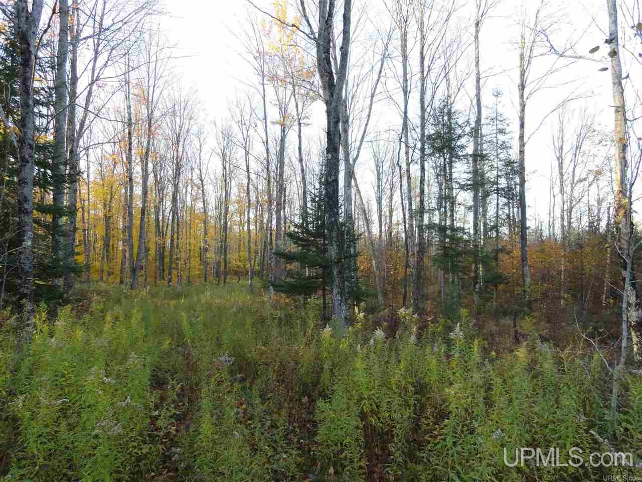 80-acres Off Ikkala Road Chatham, MI 49816 - Photo 1 of 1