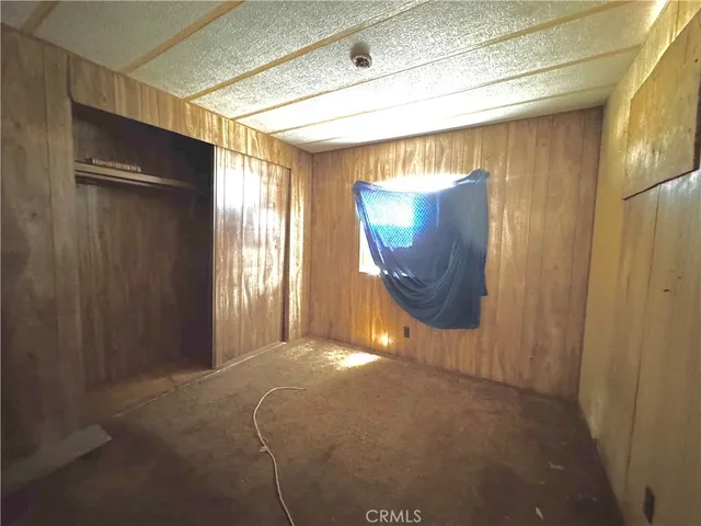 a street view with tall trees