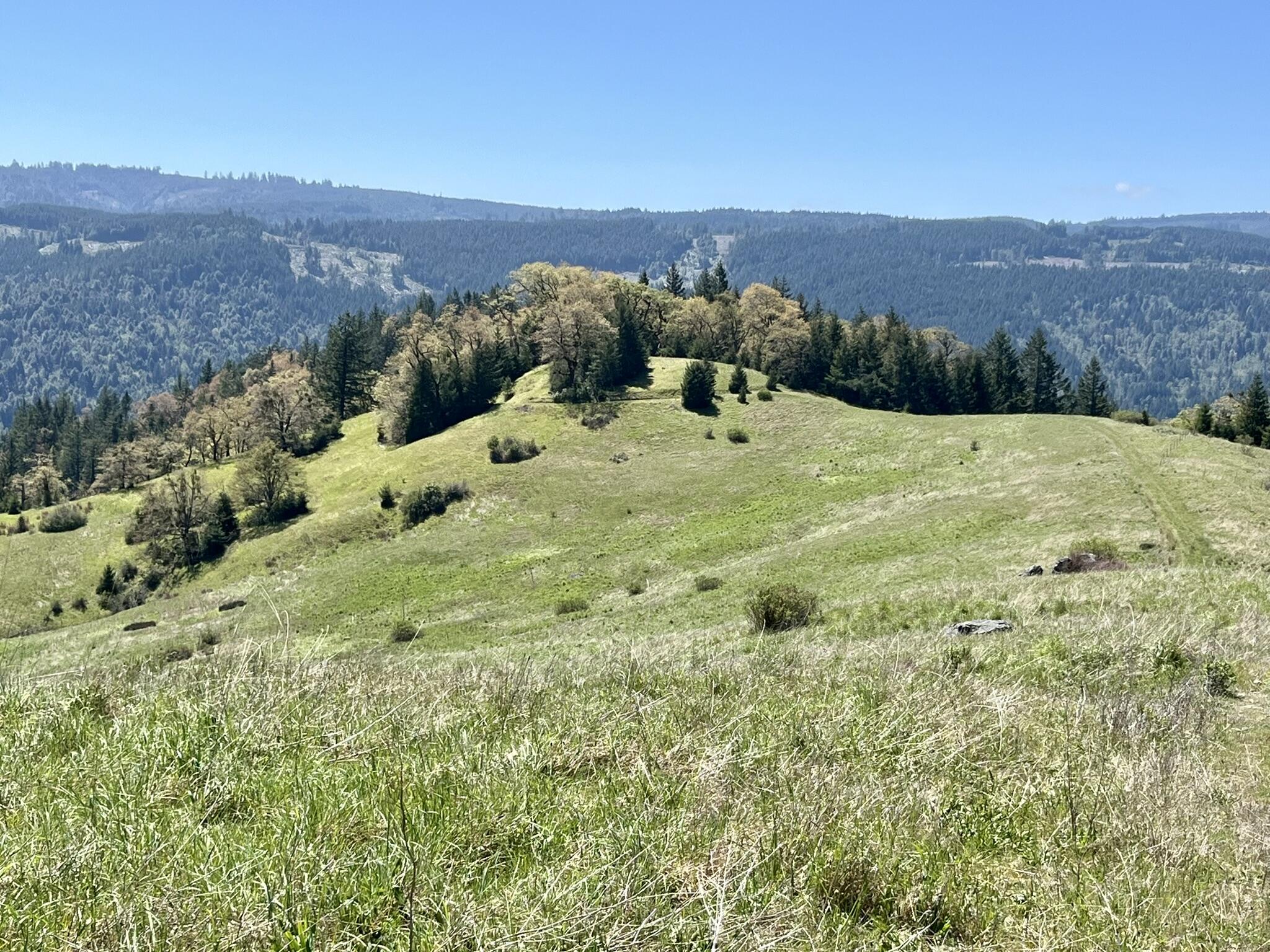 164-acres Saber Tooth Road Blue Lake, CA 95525 - Photo 1 of 11