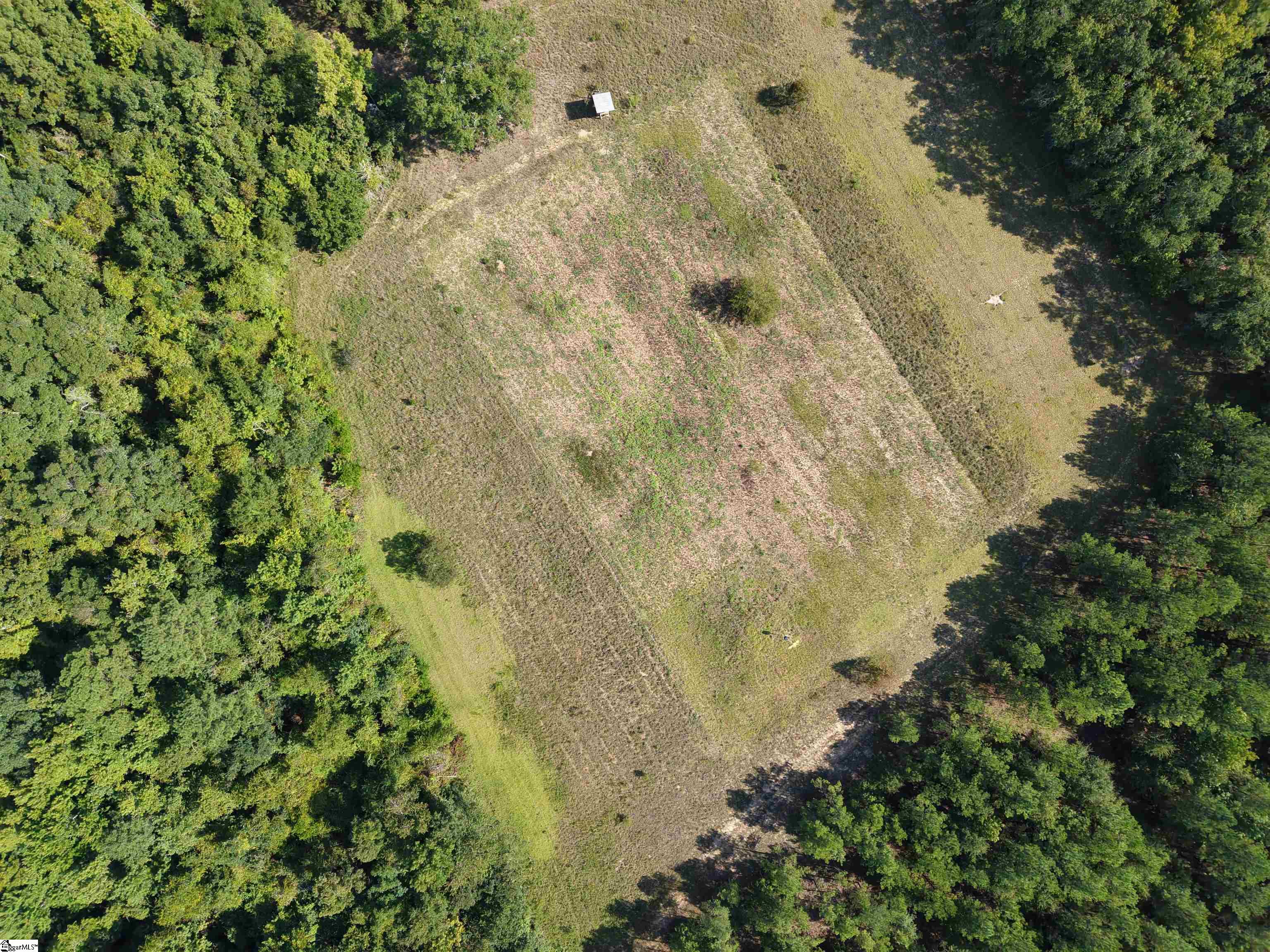 0 Able Road Bamberg, SC 29003 - Photo 2 of 13 Gallery Image 2