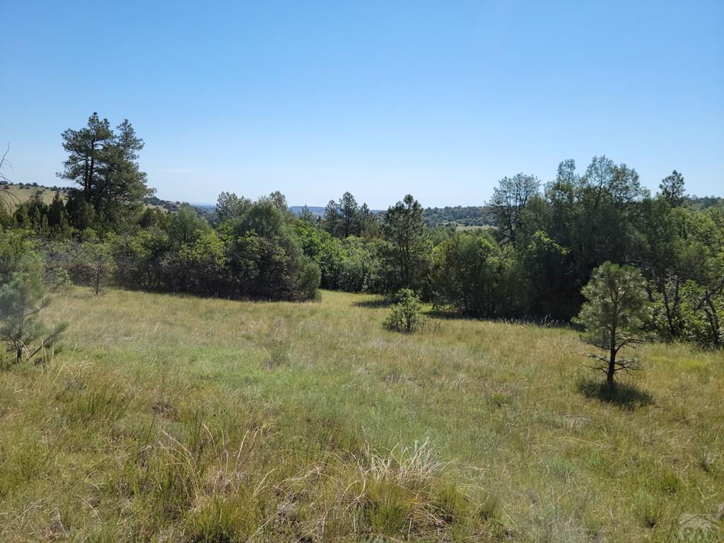 Tbd Haynes Road South Beulah, CO 81023 - Photo 3 of 17