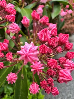 $1,599,999 | 734 King Street, Chappaqua, NY 10514