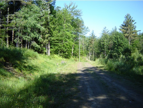 0 Leland Farm Road Middlesex, VT 05602 - Photo 1 of 9