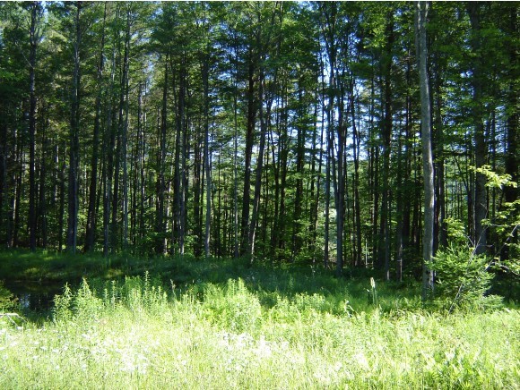0 Leland Farm Road Middlesex, VT 05602 - Photo 2 of 9