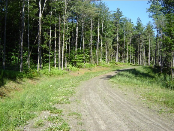 0 Leland Farm Road Middlesex, VT 05602 - Photo 3 of 9