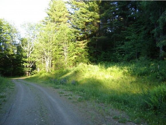 0 Leland Farm Road Middlesex, VT 05602 - Photo 9 of 9