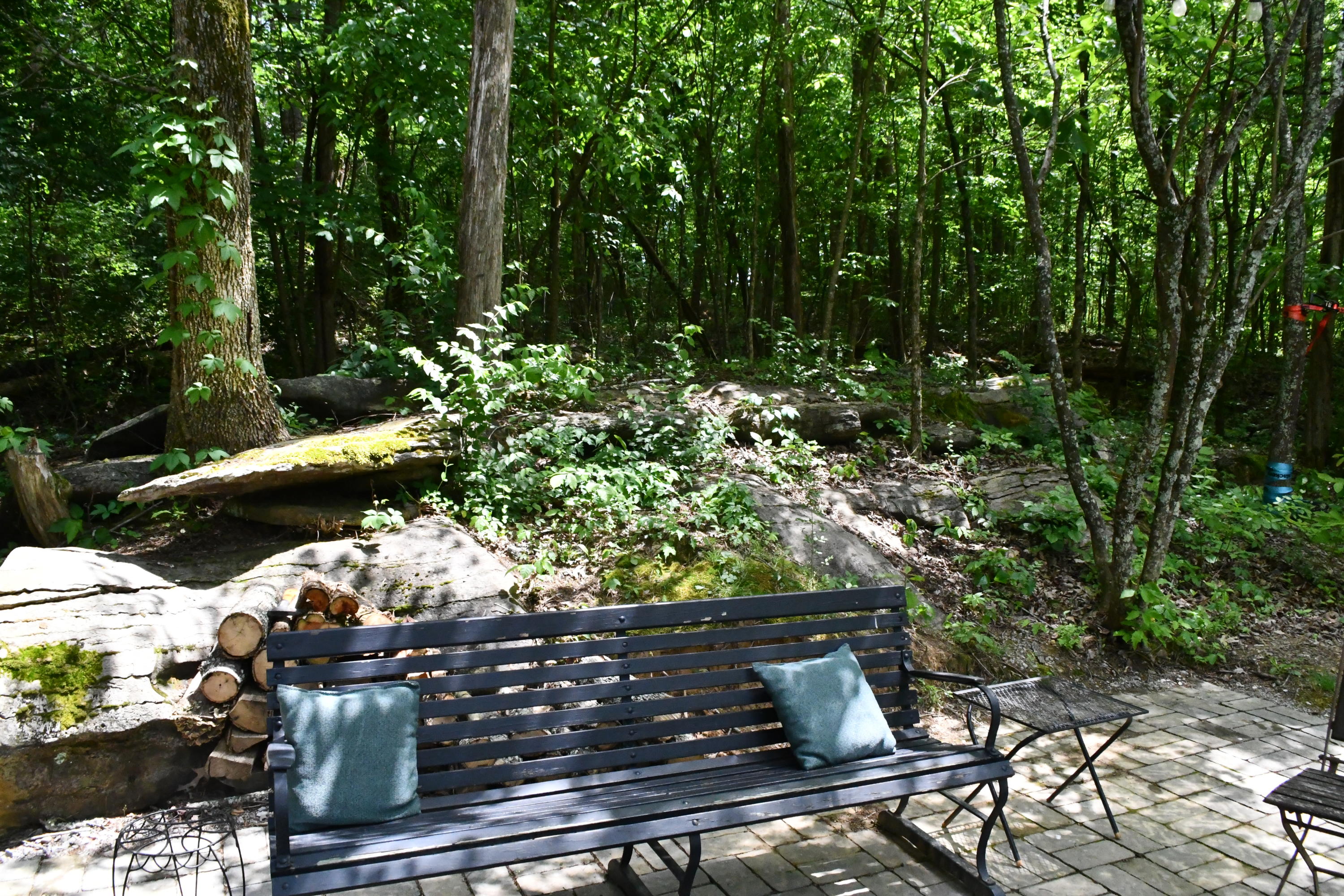 7512 Quarry Road Knoxville, TN 37938 - Photo 38 of 39 Backyard